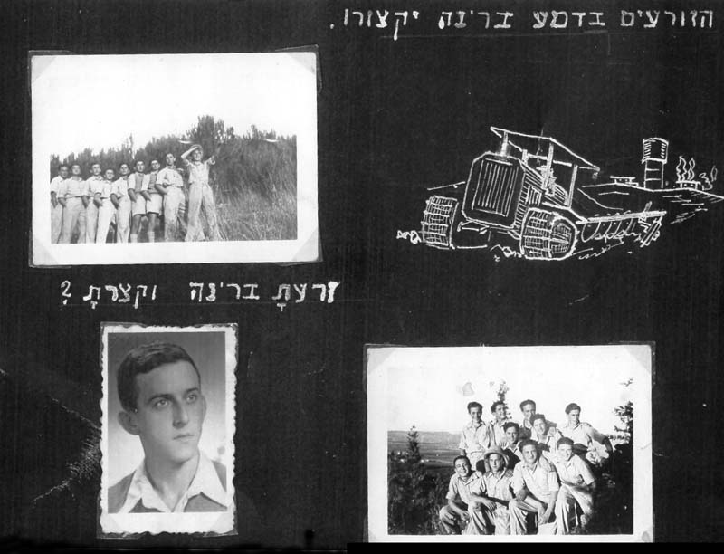 תמונה