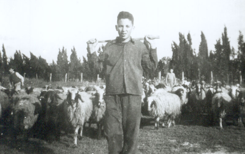 במקוה ישראל, 1946 תמונה