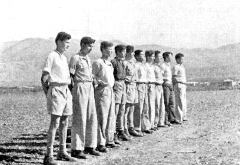  תמונה