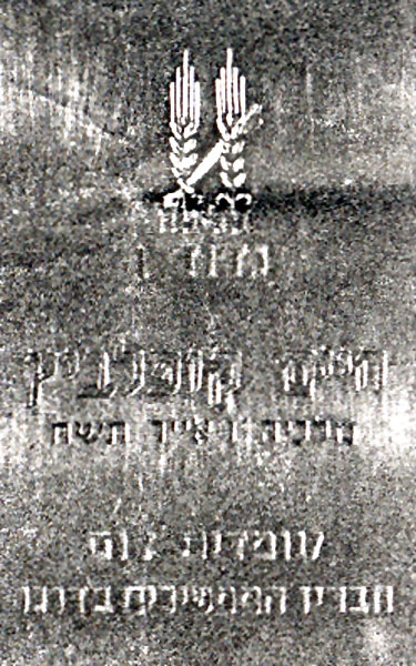 תמונה