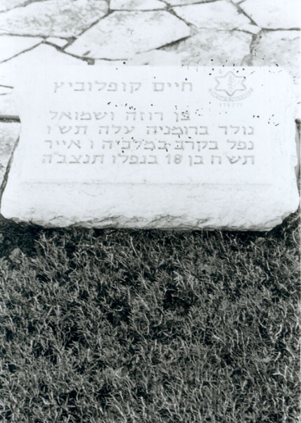 תמונה