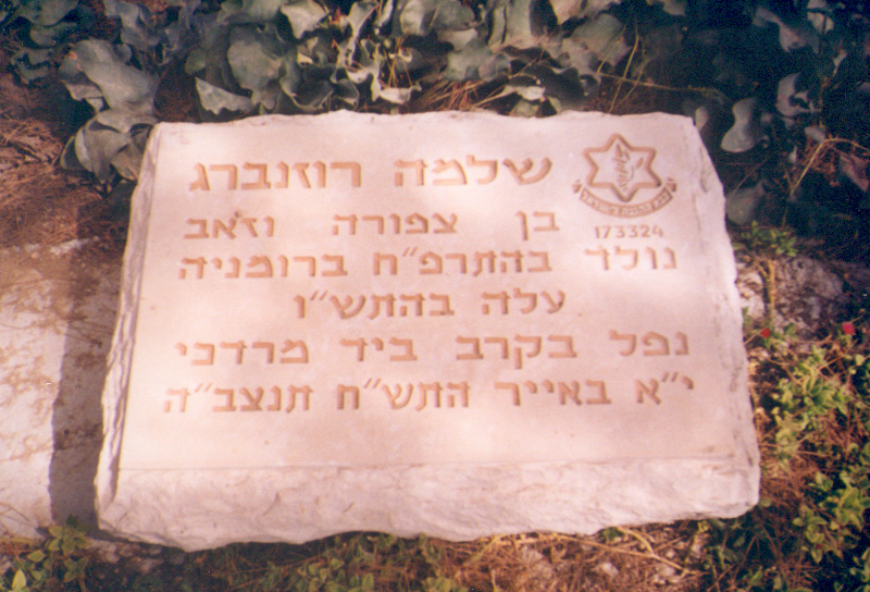 תמונה