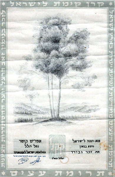 הנצחתו תמונה