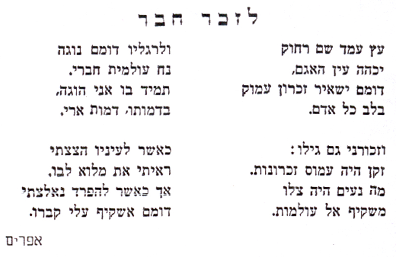 מפרי עטו תמונה