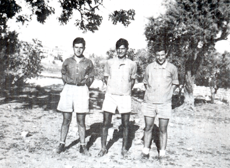  תמונה