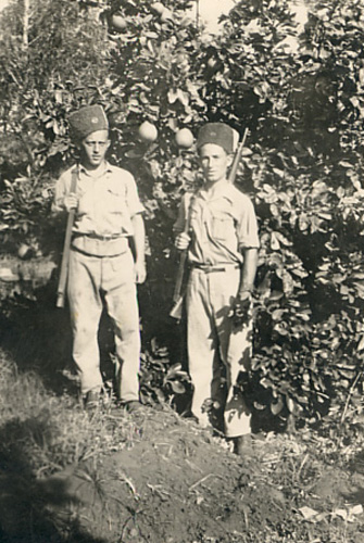  תמונה