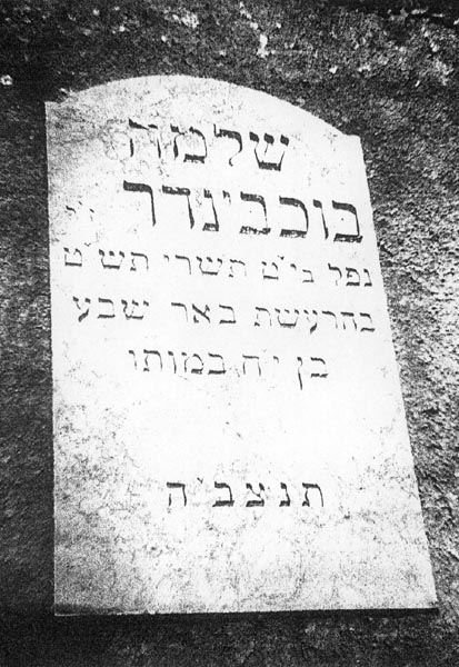 המצבה תמונה